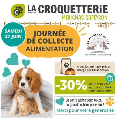 Journée de collecte solidarité