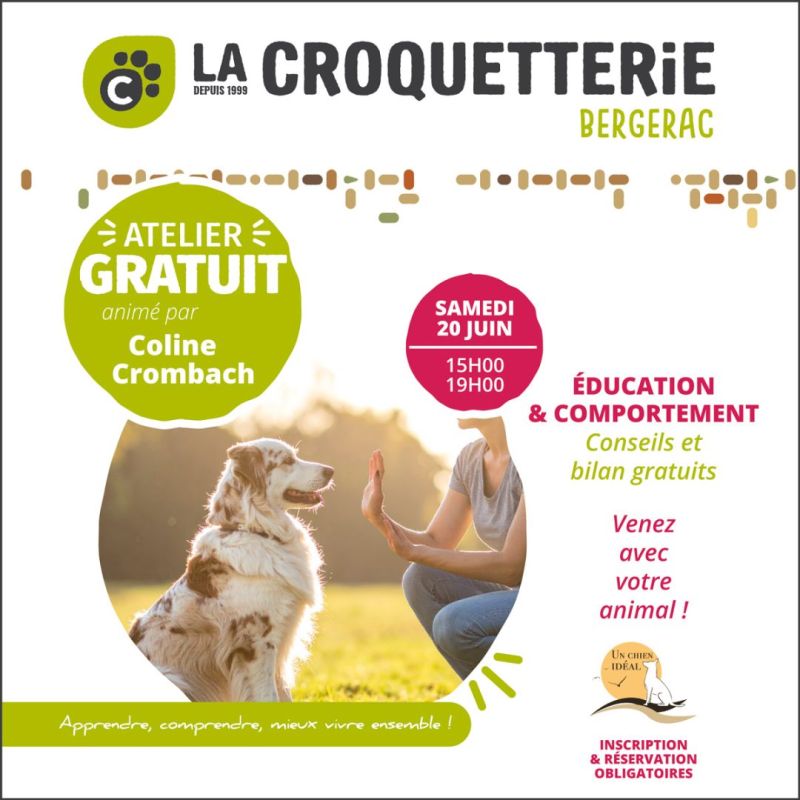 Atelier gratuit Éducation & Comportement