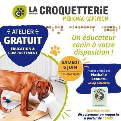 Atelier offert autour de l’éducation canine et du comportement