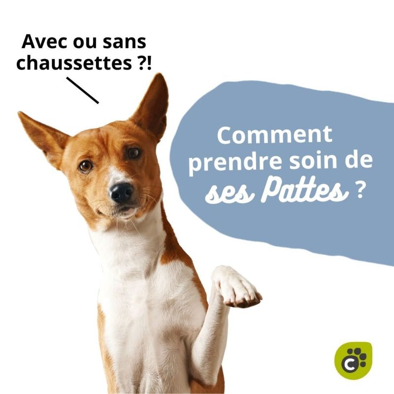 PROTEGER SES COUSSINETS EN HIVER