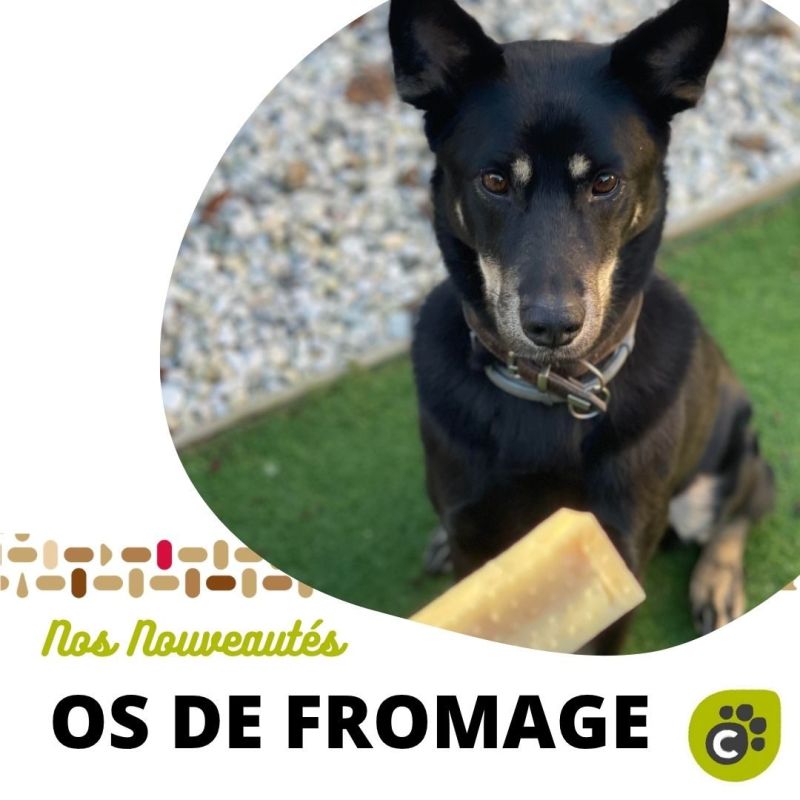 OS DE FROMAGE