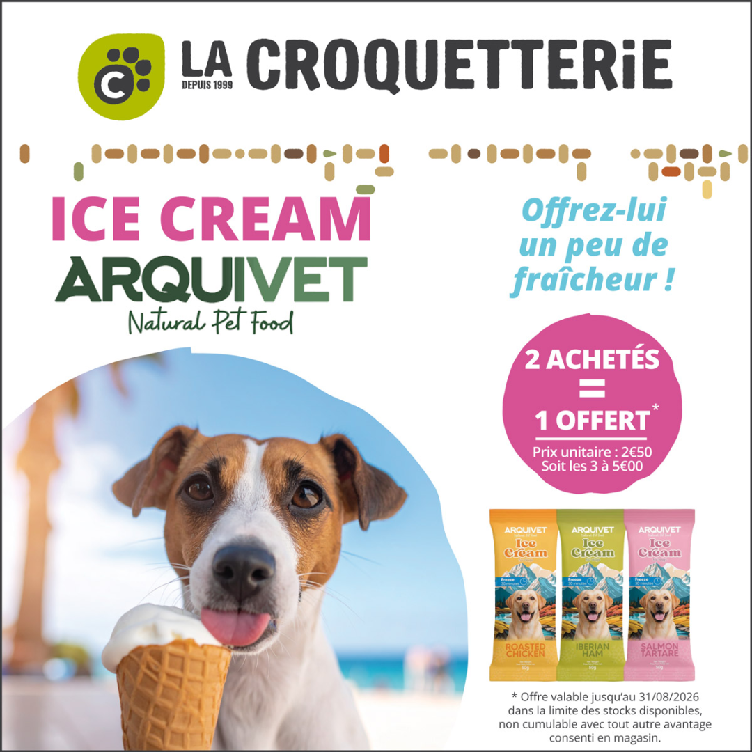 Faites plaisir à votre compagnon avec une pause fraîcheur 
