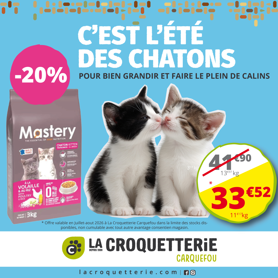 C'est l'été des chatons