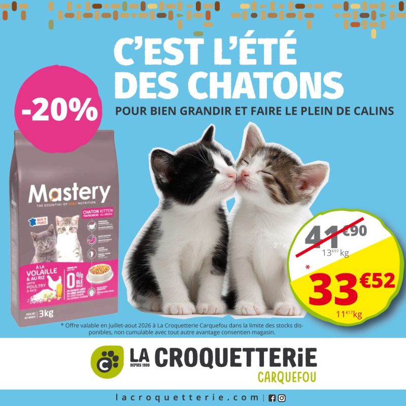 C'est l'été des chatons