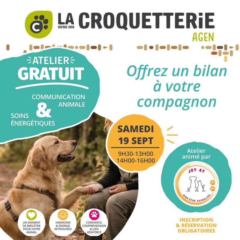 Communication animale & soins énergétiques samedi 19 septembre