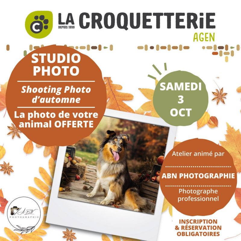 Studio Photo d'automne samedi 3 octobre