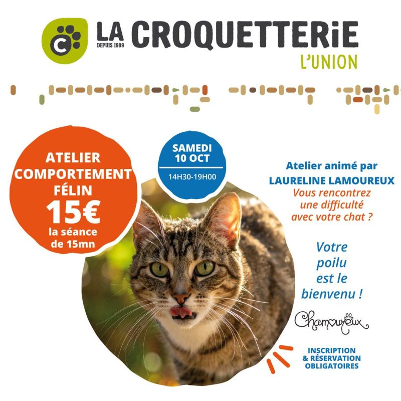 Atelier Comportement félin samedi 10 octobre