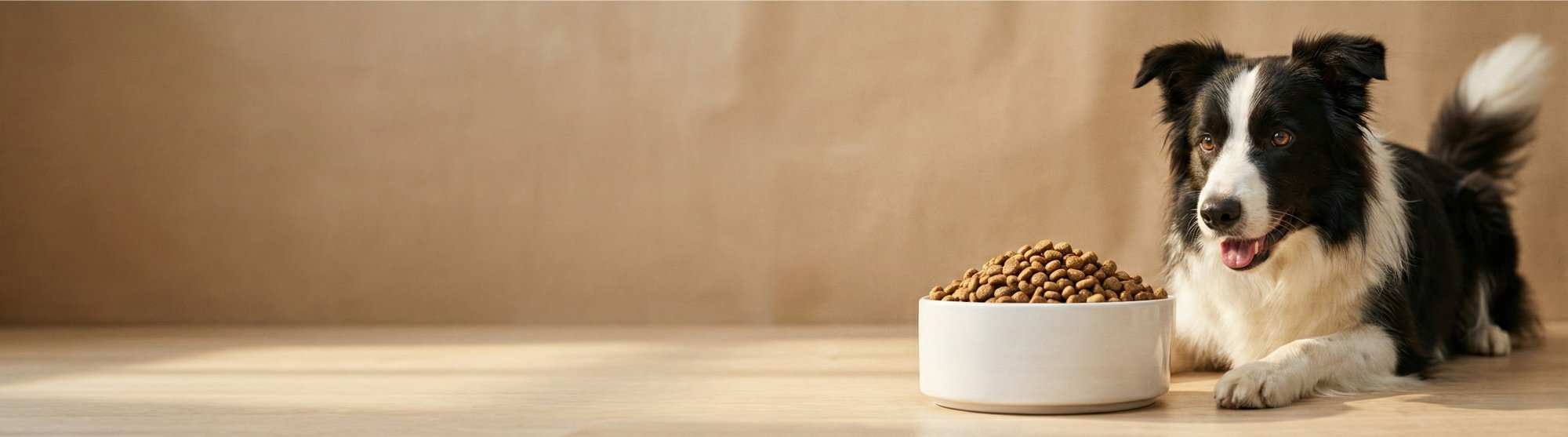 Alimentation premium pour chien & chat