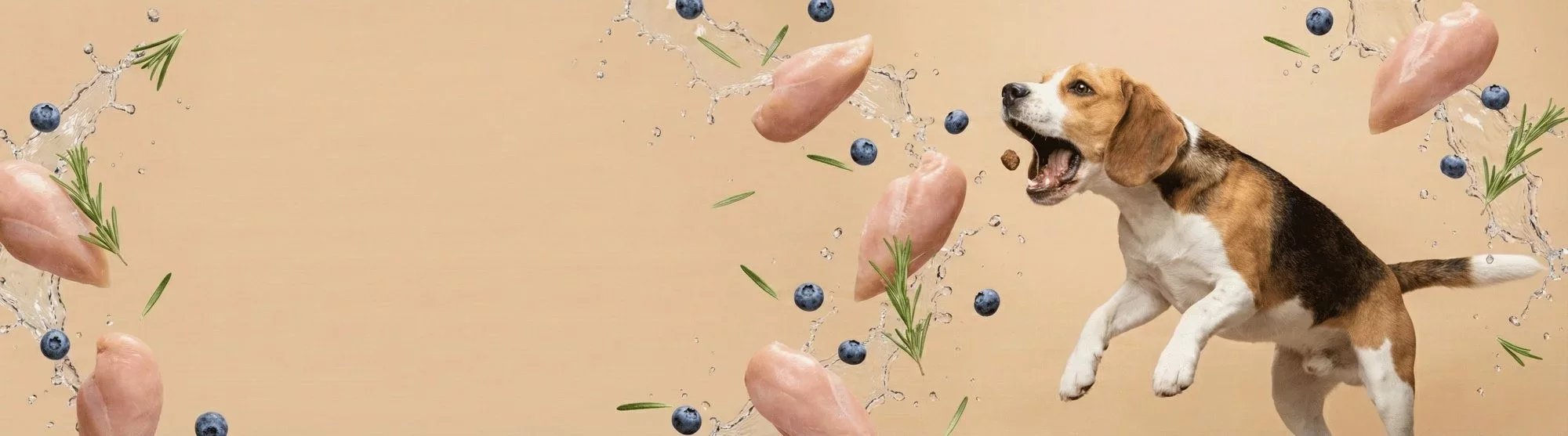 Nutrition, Bien-être, Comportement