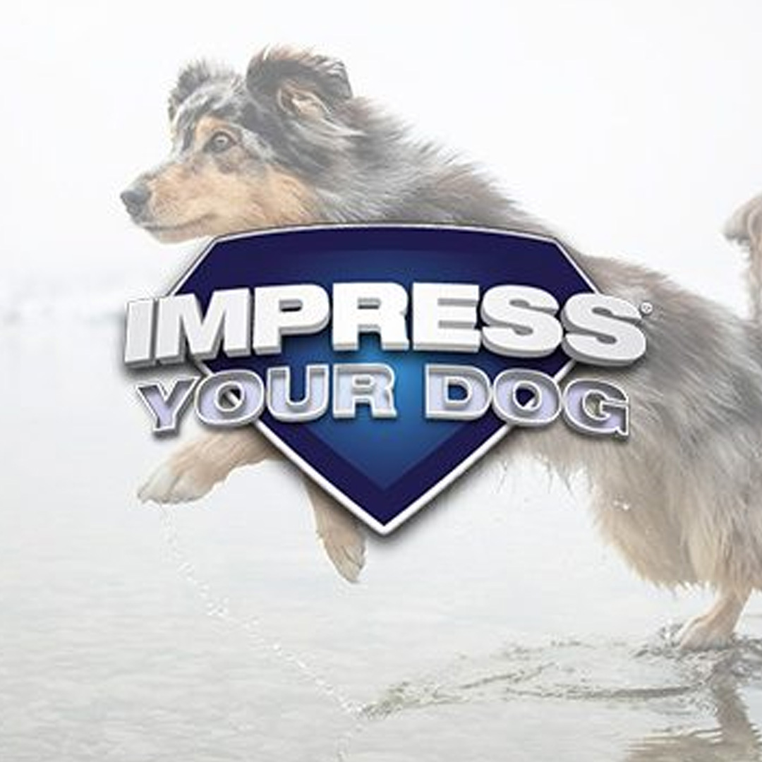Impress Your Dog